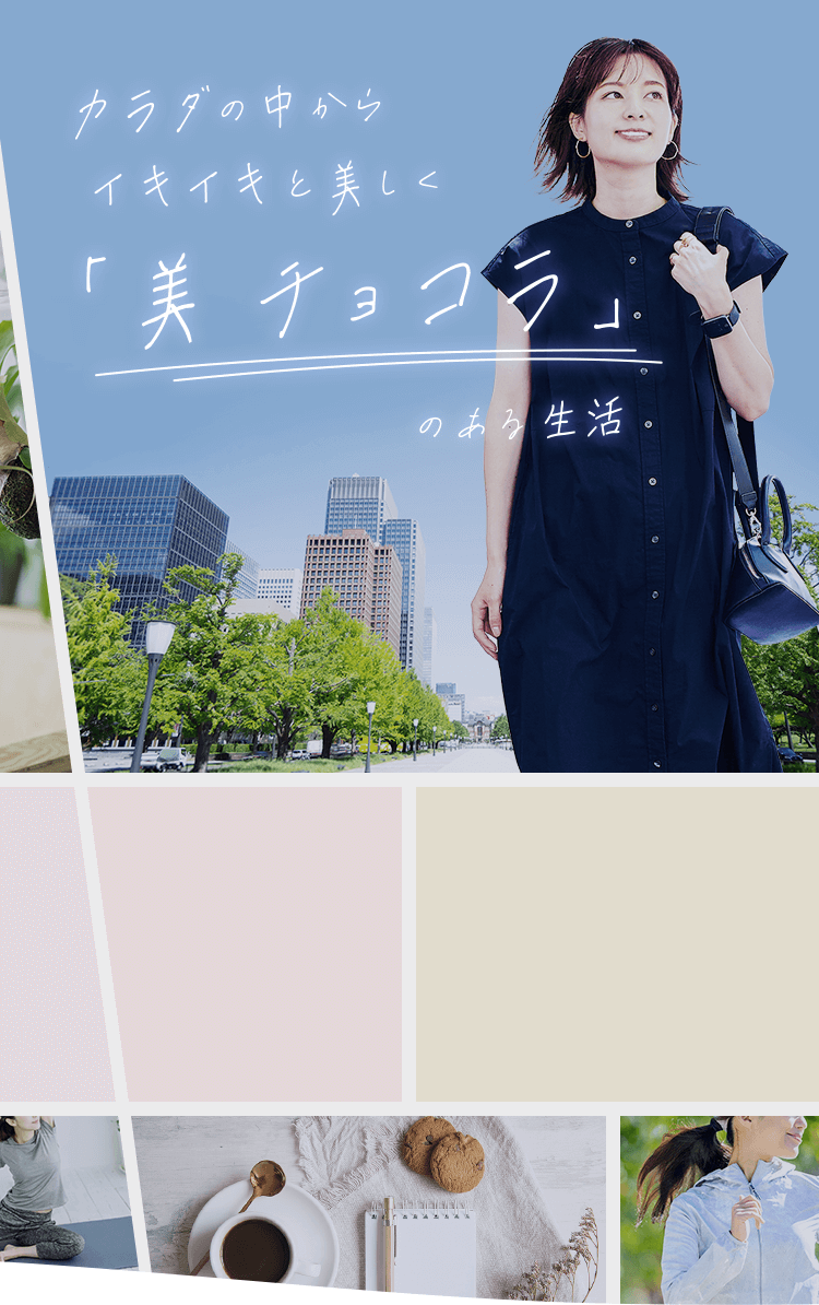 美チョコラシリーズ